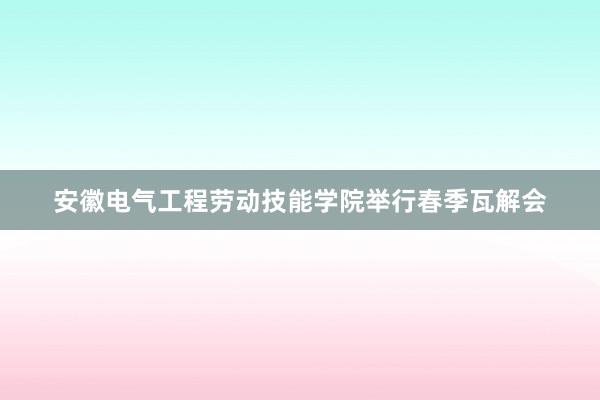 安徽电气工程劳动技能学院举行春季瓦解会
