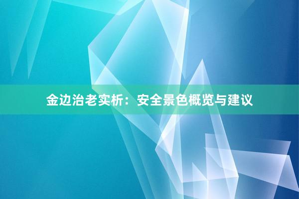 金边治老实析：安全景色概览与建议
